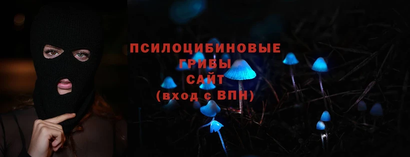 Галлюциногенные грибы MAGIC MUSHROOMS  где купить   Горно-Алтайск 